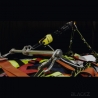 Full Kit Bariatric Bridle 55cm