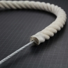 Swiging Trapeze