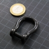 Bow Shackle allen head pin 6 mm