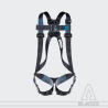 NUS55 harness - 2 points