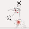 WIZARD PRO Descendeur