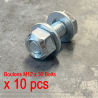 copy ofCATSpallet_0600
